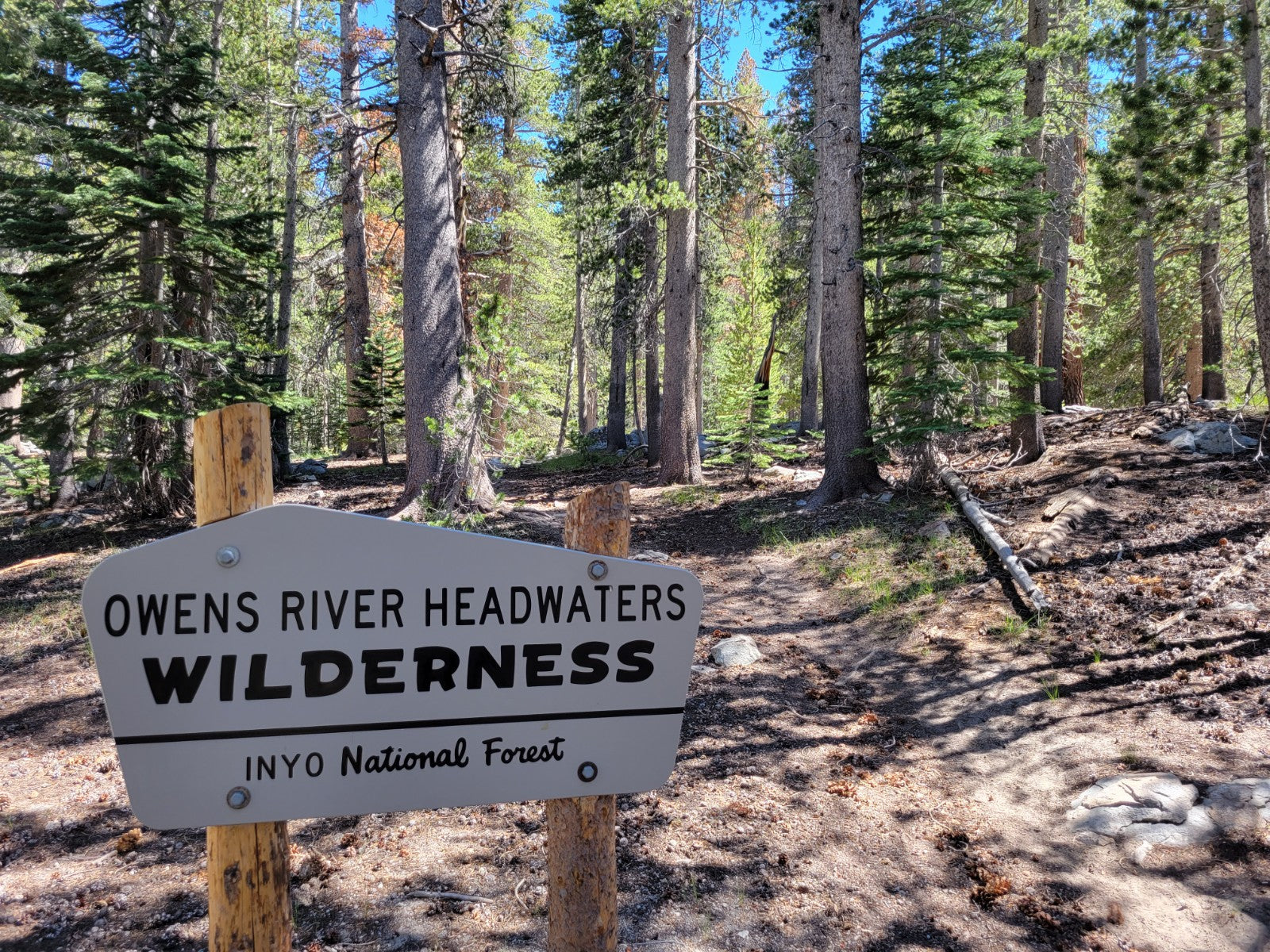 Mammoth Lakes Hiking Trail Review - Fern Lake Trail & Yost Lake