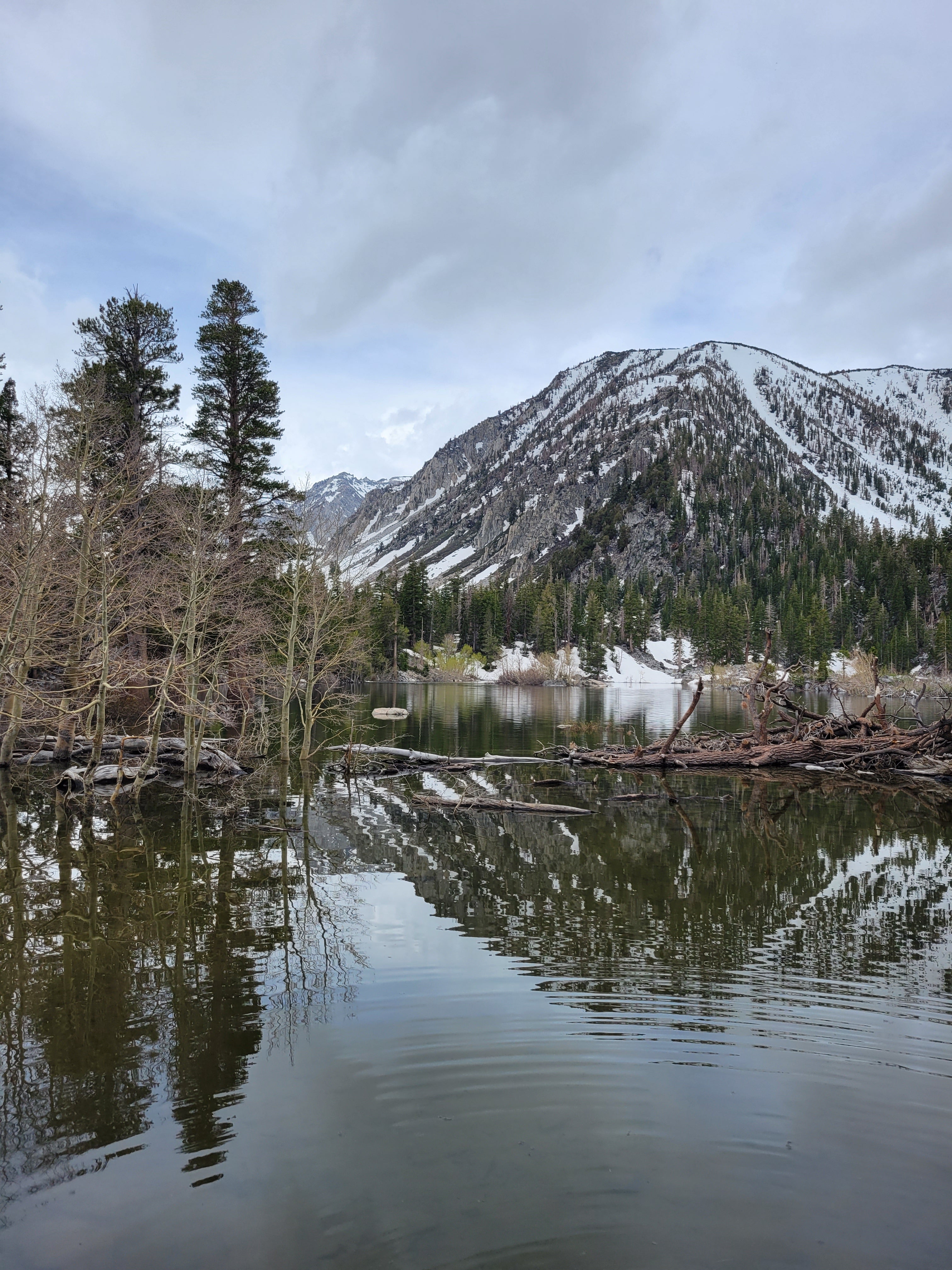 Mammoth Lakes Summer Outlook 2023 - Mid June Update