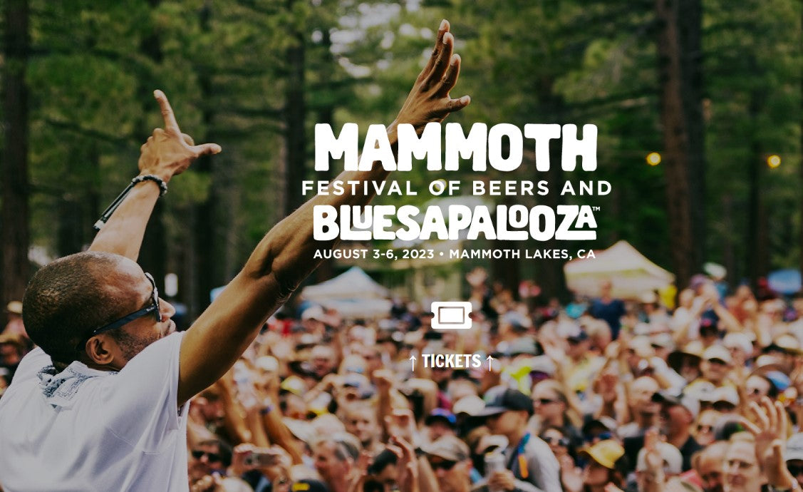Vendor Booth at Bluesapalooza - Aug 3-6, 2023