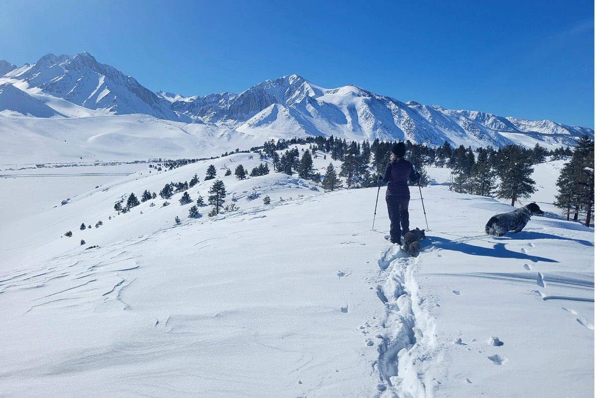 Super El Niño Is Coming — What It Means for Mammoth This Winter