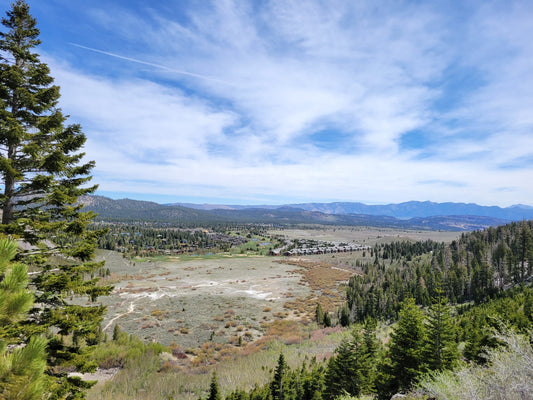 Trail Review - Mammoth Rock Trail