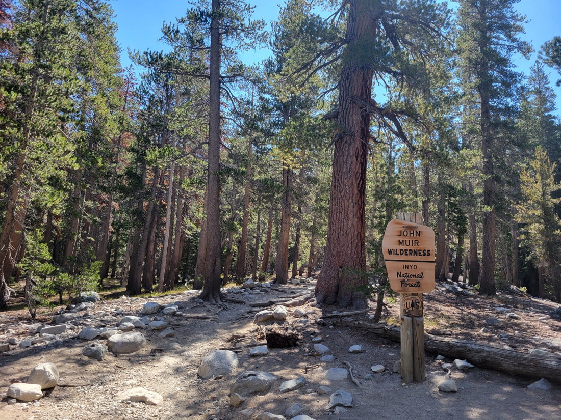 Mammoth Lakes Hiking Trail Review - Duck Pass Trail