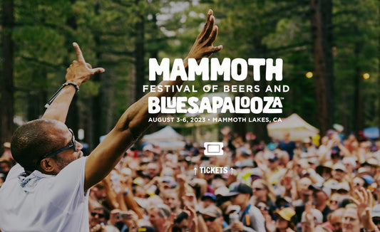 Vendor Booth at Bluesapalooza - Aug 3-6, 2023