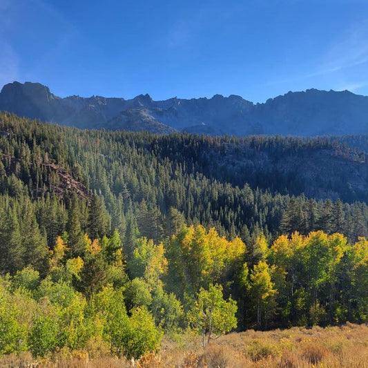 Great Fall Hikes in Mammoth Lakes