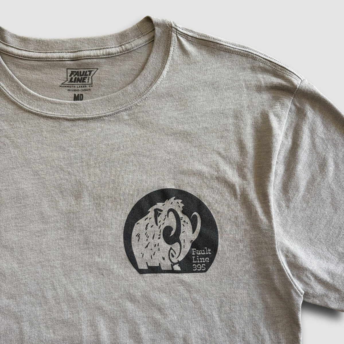 Mammoth T-Shirt - Heather Gray