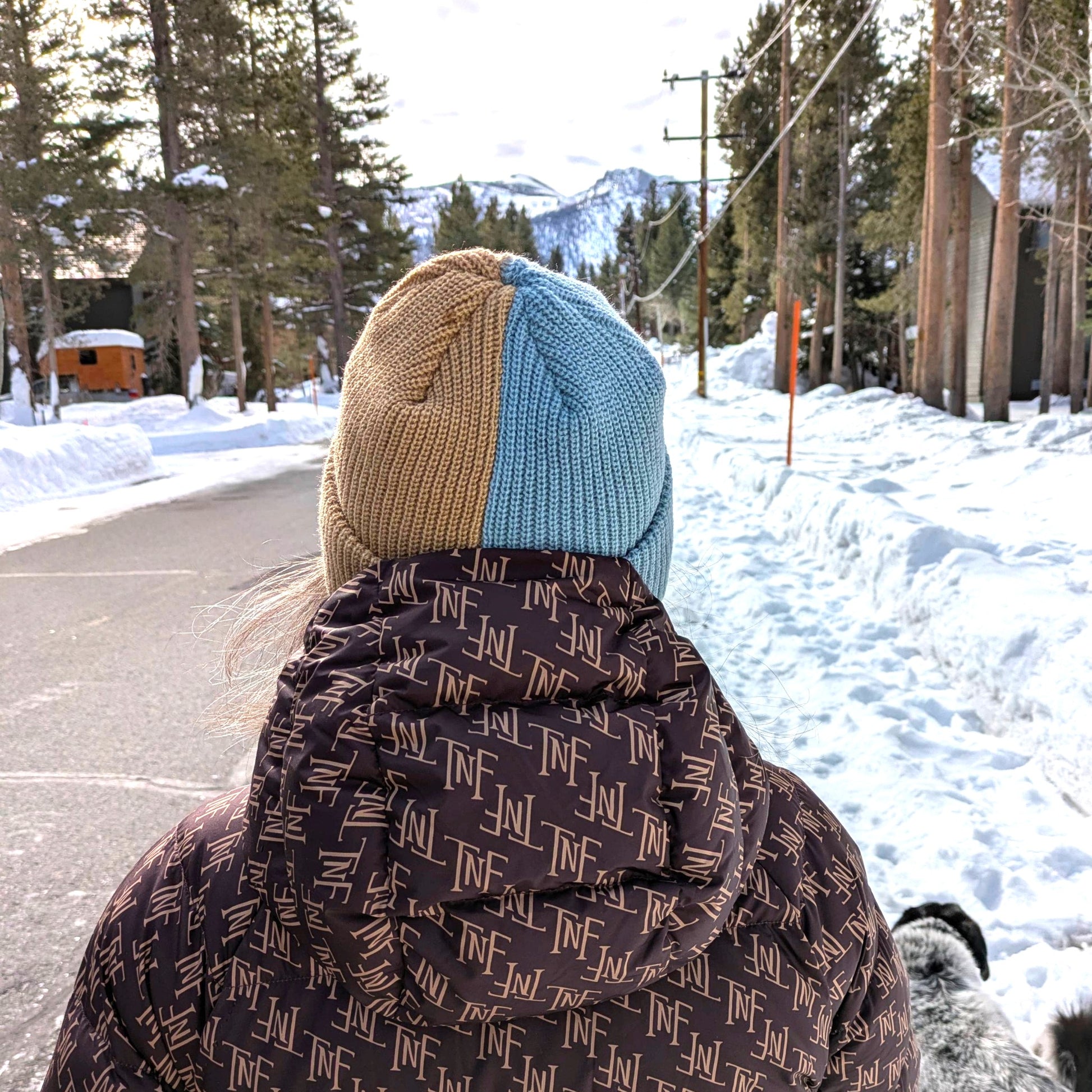 Photo of the split color 2Tone beanie in blue and tan being worn by a model.