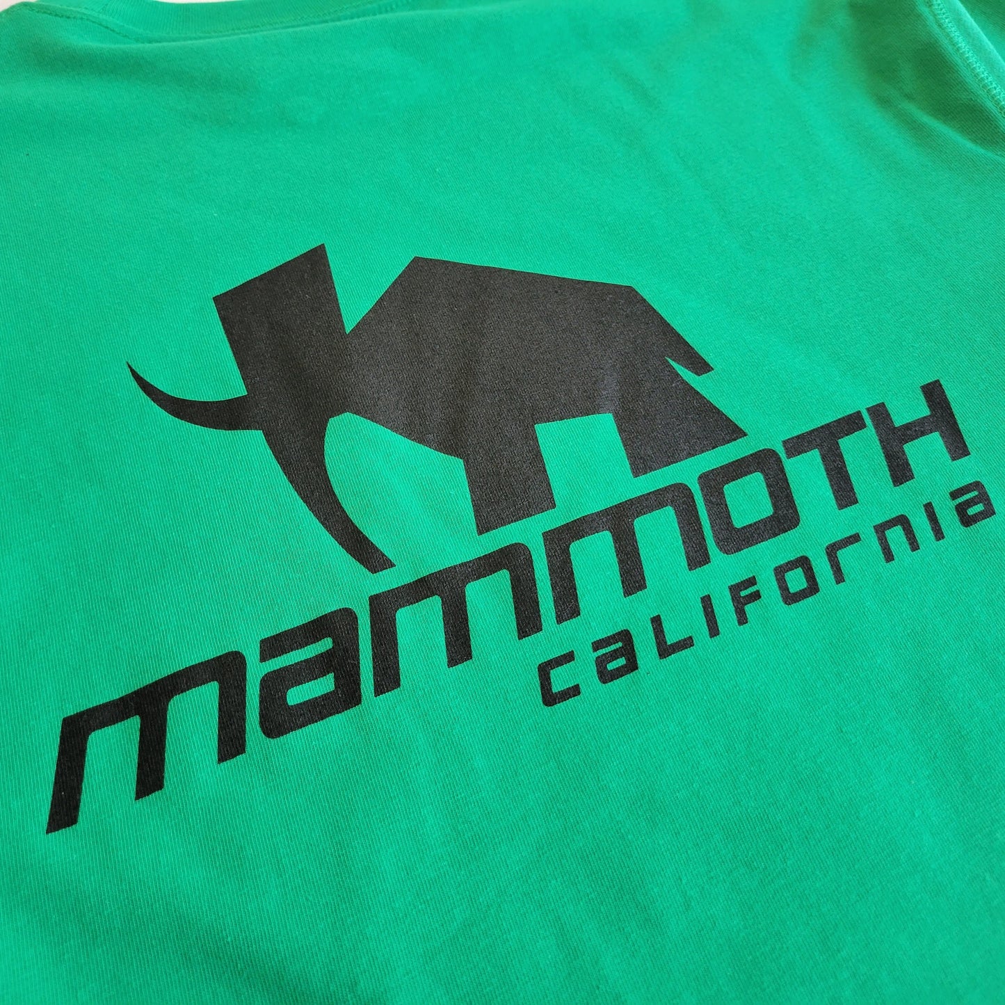 Mammoth Icon L/S Tee - Green