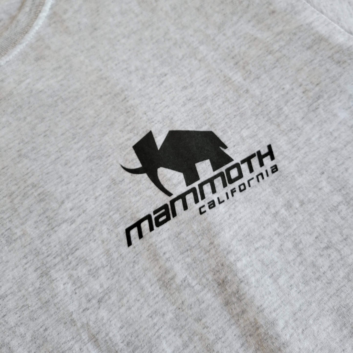 Mammoth Icon Tee - Ash